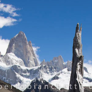 patagonia-natura
